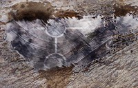 Reflection of time ( Utami Dewi Godjali).