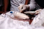 Sabu Seberat 2,5 Kg Dimusnahkan