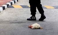 Aksi 'tolak bala' tersebut terkait sengketa tanah di Karawang dan sedang dalam proses pengadilan.