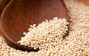 Karena Bernutrisi Harga Jual Quinoa di Bolivia Semakin Mahal