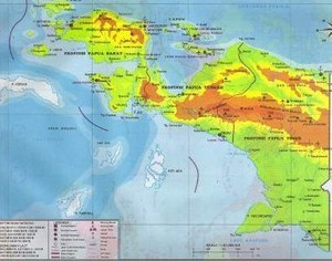 Korban Tewas di Papua Bertambah Jadi 12 Orang