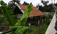 Di pekarangan rumah Irjen Djoko juga terdapat kandang ayam dan entok.