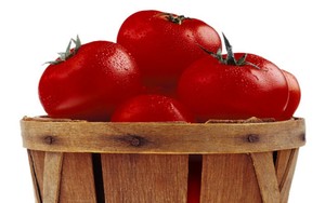 Vitamin C dalam Tomat Organik 57% Lebih Banyak dari Tomat Biasa