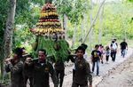 Gunungan Buah Untuk Orangutan