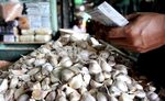 RI Impor Bawang Putih Rp 2 triliun Setahun