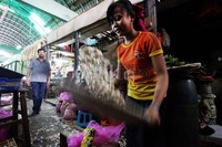 Di Pasar Induk Kramat Jati, Jakarta Timur, Senin (26/13), harga bawang putih mencapai Rp 35.000/kg. Harga tersebut terhitung tinggi, karena dalam kondisi normal harga hanya berkisar belasan ribu rupiah.