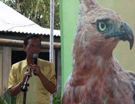 730 Koleksi Gambar Burung Elang Dari Gabus Terbaik