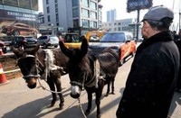 Aksi Gokil Para Pemilik Mobil yang Kecewa