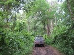 Jalur Darat yang Menantang di Pulau Lembata