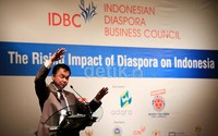 Menurut Dino, diaspora bukan sekedar warga perantauan di luar negeri. Namun orang-orang yang mempunyai ketrampilan, keahlian dan semangat enterpreneurship di negeri asing dan mempunyai ikatan ke-Indonesiaan yang kuat.