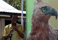 Gubernur DIY Sri Sultan Hamengku Buwono X mendukung pelepasliaran satwa Elang Jawa untuk kembali ke habitat asalnya.