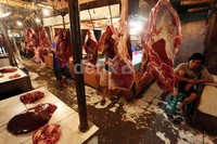 Solusi memberi peluang kepada pihak yang selama ini getol mengembangkan sapi, namun terkendala masalah sulitnya atau mahalnya memperoleh bibit sapi.