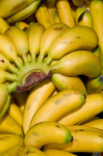 Ternyata Pisang Membuat Tulang Kuat dan Tekanan Darah Stabil
