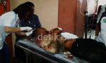 Bus Tabrak Tebing di Cianjur, 16 Orang Tewas