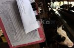Sisa-sisa Kejayaan Bisnis Susu di Jakarta