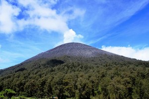 Menginjak Titik Tertinggi Tanah Jawa di Mahameru