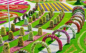 Yang Baru dari Dubai! Taman Bunga Terbesar di Dunia