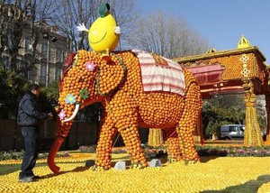 Ada Gajah Berbalut Lemon di Lemon Festival Prancis