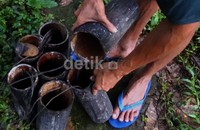 Di Banyumas, air nira untuk pembuatan gula Jawa yang sudah disadap tersebut dinamakan 'bandek', warnanya putih keruh, air bandek tersebut dapat diminum langsung atau di fermentasikan menjadi tuak yang mengandung alkohol. Arbi Anugrah/detikcom.