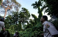 Hutan yang masih alami di pulau seluas 45 hektare tersebut menjadi tempat singgah ribuan burung. Tampak Zulkifli Hasan memicingkan mata untuk melihat burung di puncak pohon.