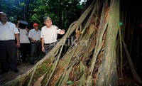 Menhut mengamati pohon tua di Pulau Rambut. Pulau Rambut berjarak 30 menit perjalanan menggunakan kapal cepat.
