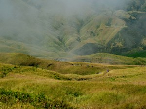 Savana Gunung Rinjani di Lombok yang Selalu Menggoda