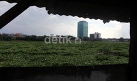 Waduk yang dipenuhi eceng gondok sejak setahun lalu ini akan dibenahi sehingga bisa menjadi ruang terbuka publik.