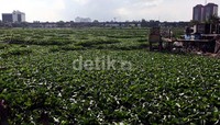 Pemerintah DKI Jakarta berencana membangun kawasan waduk ini menjadi tempat rekreasi.