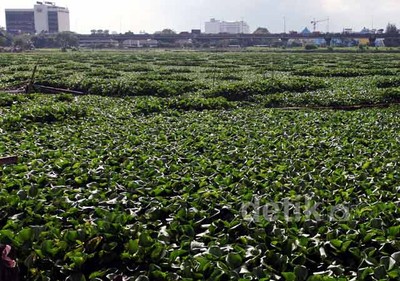 Waduk Riario Akan Dijadikan Tempat Rekreasi
