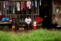 Hingga akhir Januari 2013, Badan Pusat Statistik mengumumkan data kemiskinan terbaru Indonesia dengan perincian jumlah penduduk miskin per September 2012 mencapai 28,59 juta orang (11,66 persen), menurun dibanding Maret 2012 yang tercatat 29,13 juta orang (11,96 persen), terjadi penurunan sebesar 0,54 persen atau sekitar 540.000 orang.