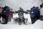 Serunya Balap Anjing di Alaska