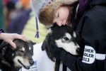 Serunya Balap Anjing di Alaska