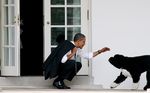 9 Foto-foto Obama Paling Ikonik