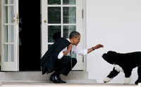 Obama menyapa anjing kesayangannya, Bo, di luar ruang kerjanya di kompleks gedung Putih. (Photo by Martin H. Simon-Pool/Getty Images).