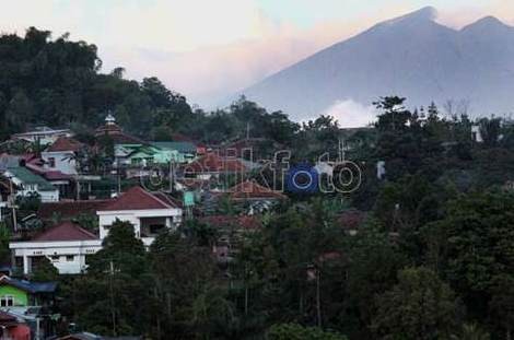 Ahok Minta Pengusaha Beli Vila Liar di Puncak untuk Dibongkar