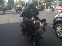 Foto: Novy Khusnul Khotimah