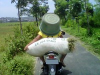 (Foto: Ichwan Budi Utomo).