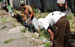 Antisipasi Banjir, Drainase Dibersihkan