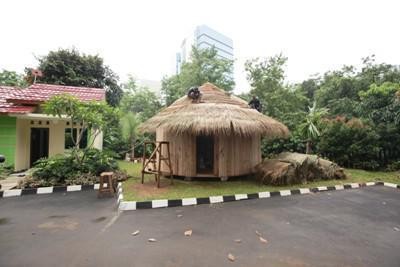 Tahun Ini Pemerintah Siapkan 900 Rumah Gratis untuk Rakyat Papua
