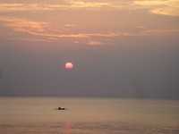 Ujung Kulon menawarkan pemandangan yang tenang ala taman nasional. Selain itu, ada juga pantai yang memiliki sunset nan indah (Putri/detikTravel)