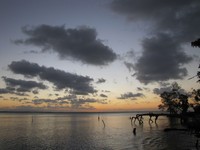Ingin bertemu sunset indah di Ujung Kulon, datang saja ke Pantai Tanjung Lame di Taman Nasional Ujung Kulon (Faya/detikTravel)