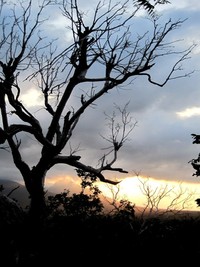 Memiliki pantai dan gunung, Taman Nasional Baluran juga menawarkan sunset yang tak kalah indah. Salah satu tempat paling pas menikmatinya bisa di menara pandang (Shafa/detikTravel)