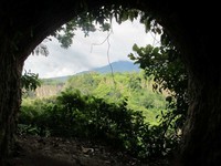 Tempat ini memang strategis. Letaknya tidak jauh dari pusat Kota Bukittinggi dan tersembunyi di dalam perut bumi. Ini adalah salah satu lubang yang tembus ke tengah hutan di sekitar Ngarai Sianok (Afif/detikTravel)