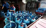 Harga Gas Elpiji 12 Kg Batal Naik