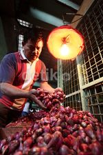 RI Impor Bawang Merah 2.755 Ton