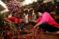 Menurut Badan Pusat Statistik (BPS), Indonesia mengimpor bawang merah sebesar 2.755 ton atau US$ 1,4 juta.