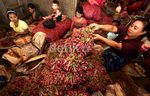 RI Impor Bawang Merah 2.755 Ton