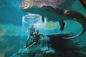 Inilah 7 Wisata Adrenalin Terekstrem di Dunia