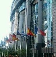 Palsukan Paspor RI, 2 WN Malaysia Ditangkap di Brussel