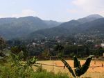 Inilah Masjid Unik Selain Attaawun di Puncak